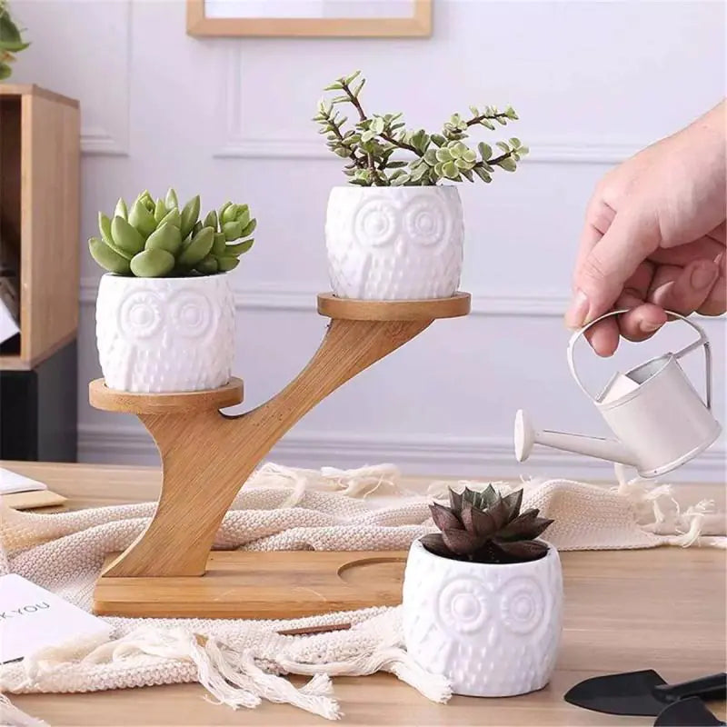 White Owl Succulent Planters