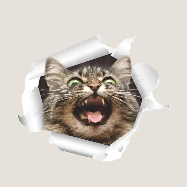 3D Cat Stickers-What About Noah