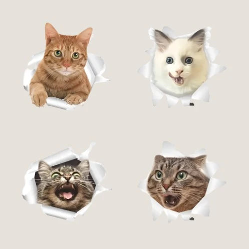 3D Cat Stickers-What About Noah