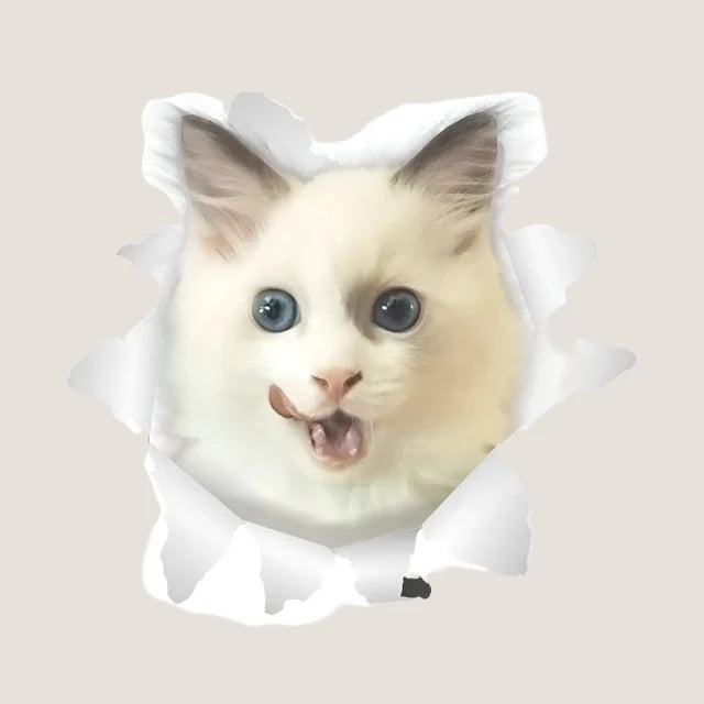 3D Cat Stickers-What About Noah