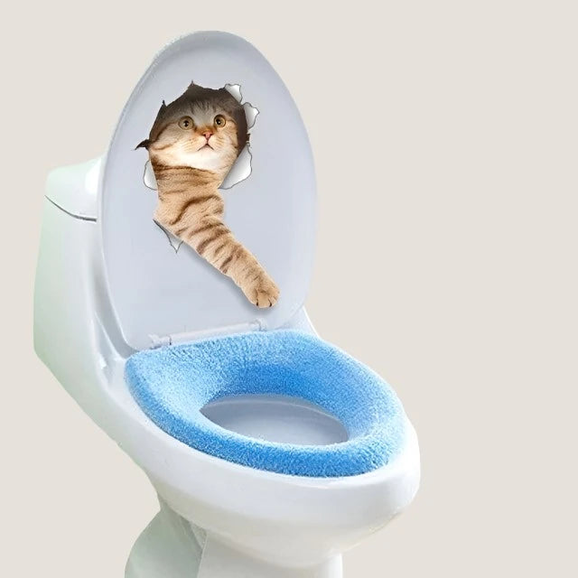 3D Cat Stickers-What About Noah