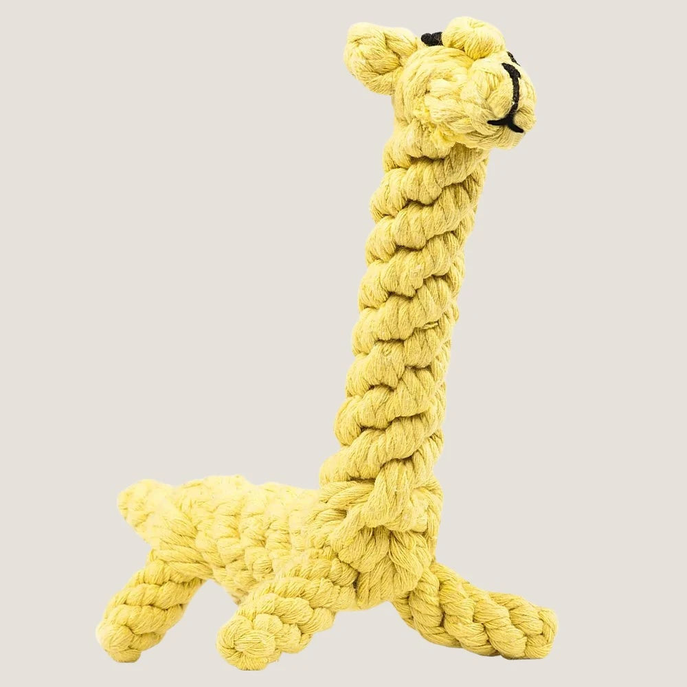 Animal Design Rope Chew Pet Toys-What About Noah