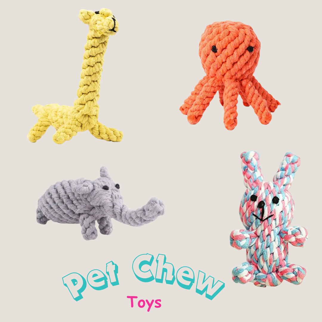 Animal-Rope-Chew-Pet-Toys-What About Noah