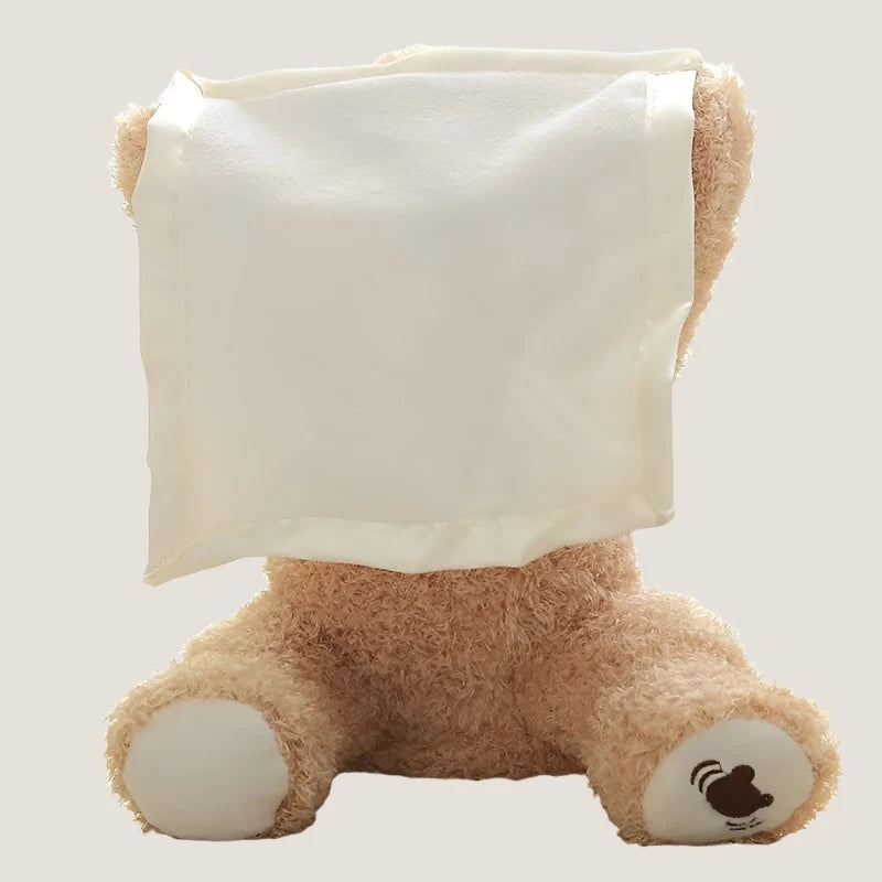 Bear Hide and Seek Toy-What About Noah