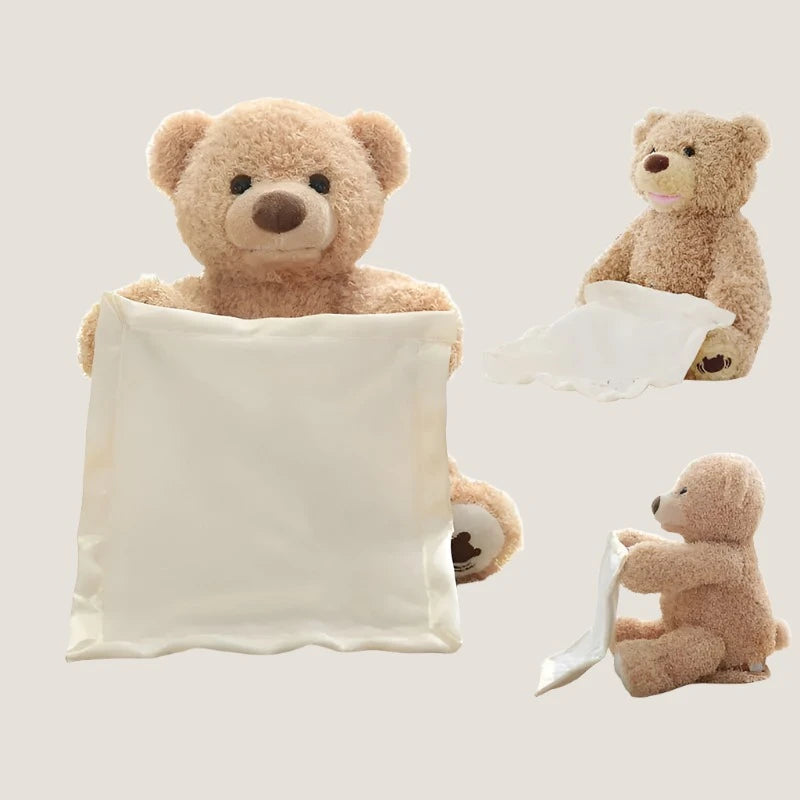 Bear Hide and Seek Toy-What About Noah