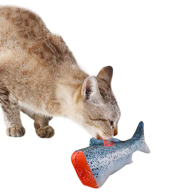 Creative Fish Shape Pet Toy-What About Noah