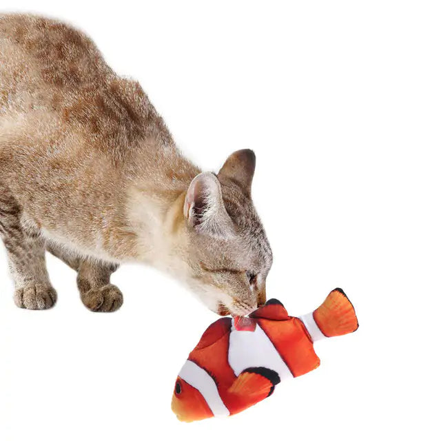 Creative Fish Shape Pet Toy-What About Noah