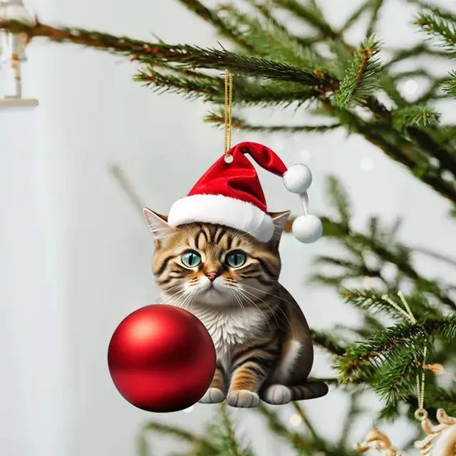 Cute Cat Christmas Ornaments-What About Noah