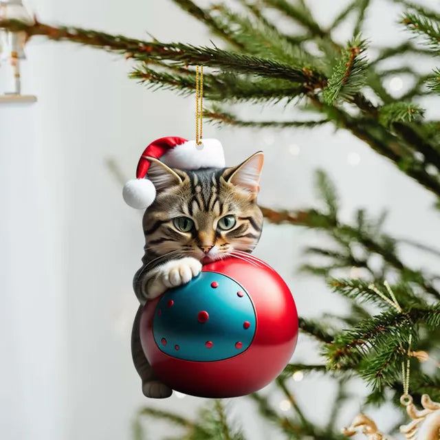 Cute Cat Christmas Ornaments-What About Noah