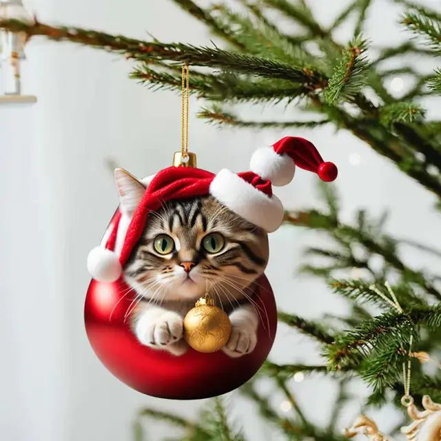 Cute Cat Christmas Ornaments-What About Noah