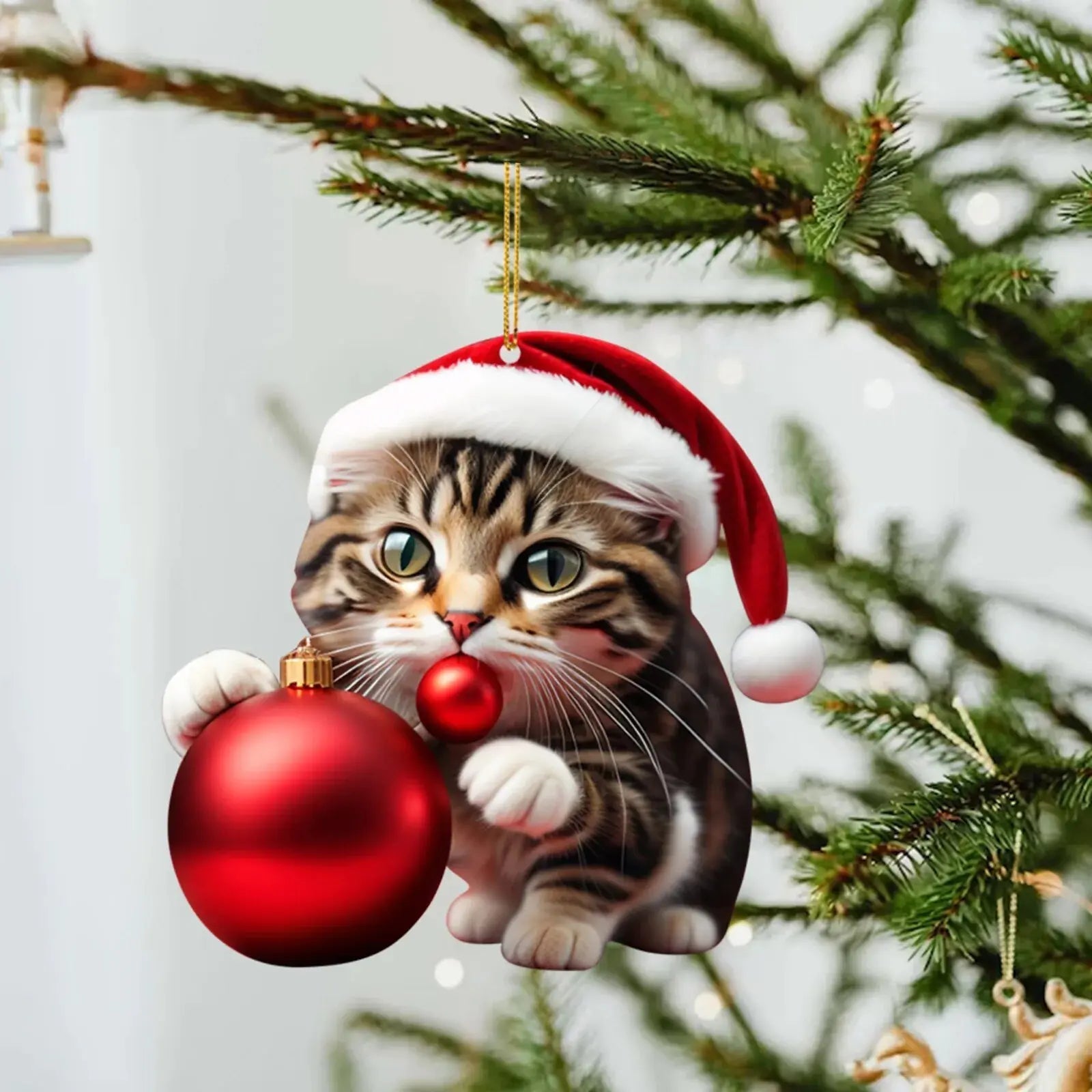 Cute Cat Christmas Ornaments-What About Noah