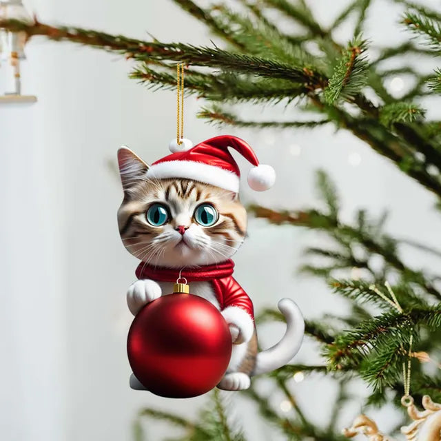 Cute Cat Christmas Ornaments-What About Noah