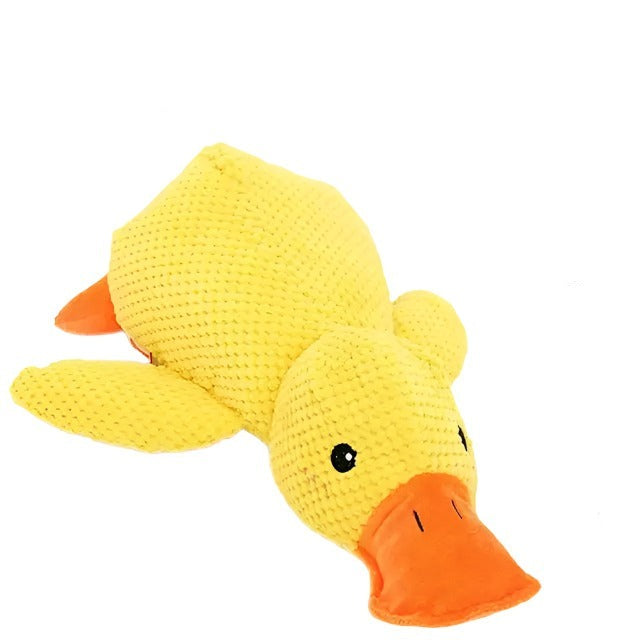 Duck Chew Toy-What About Noah