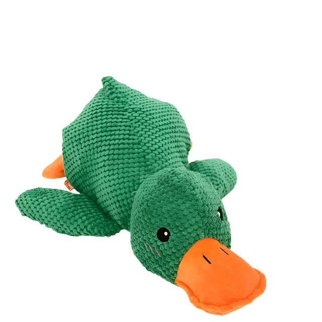 Duck Chew Toy-What About Noah