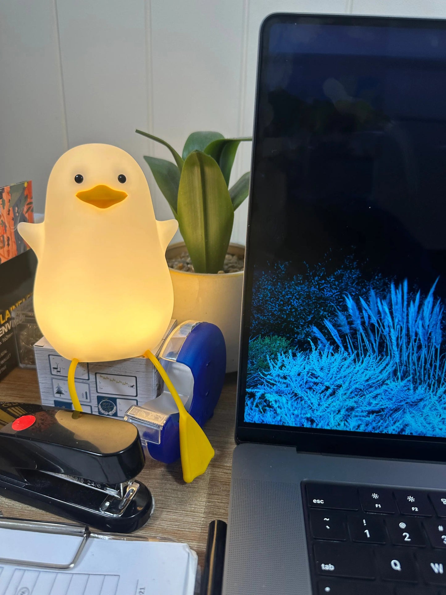 Duck Night Light-What About Noah