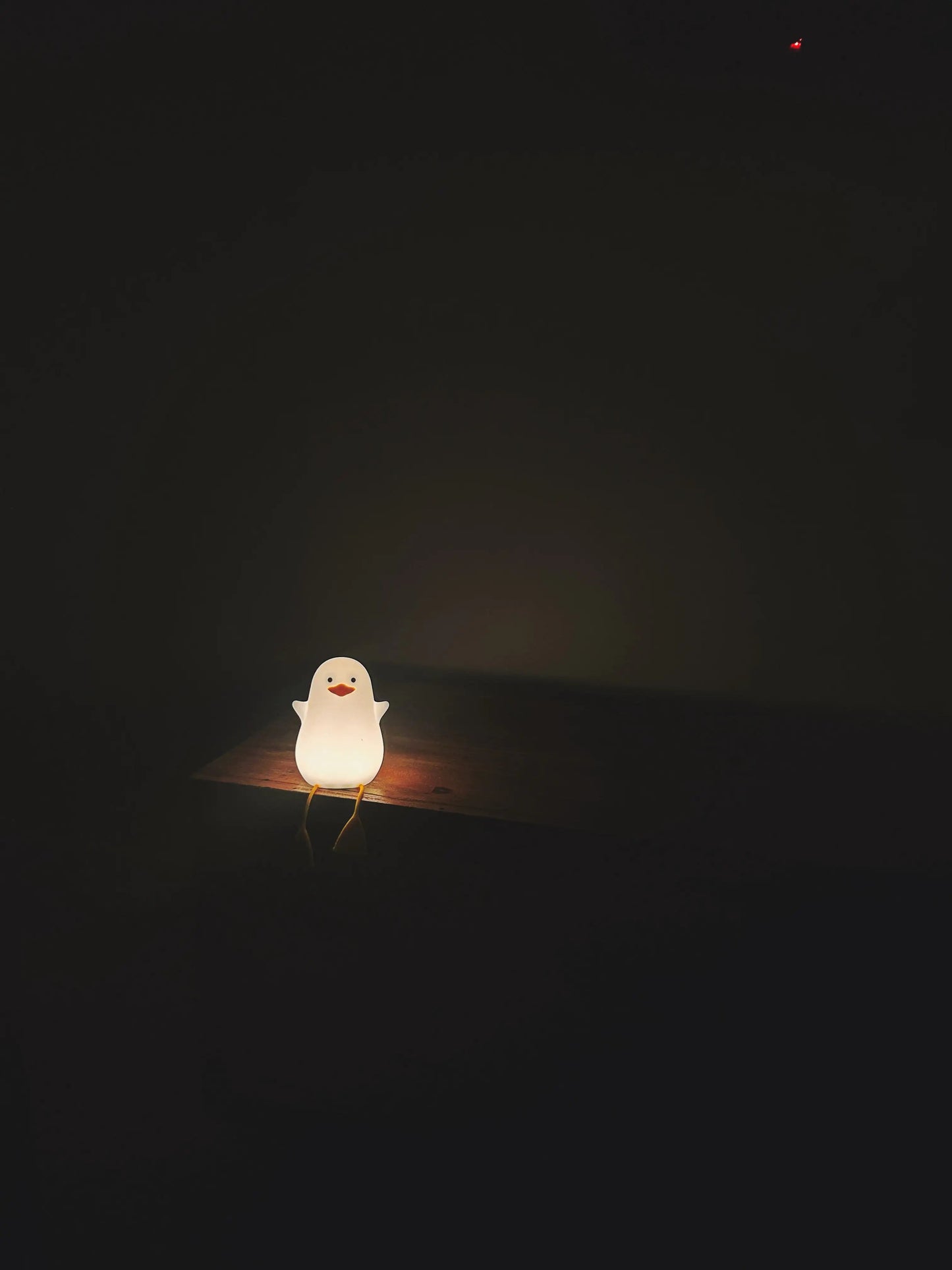 Duck Night Light-What About Noah