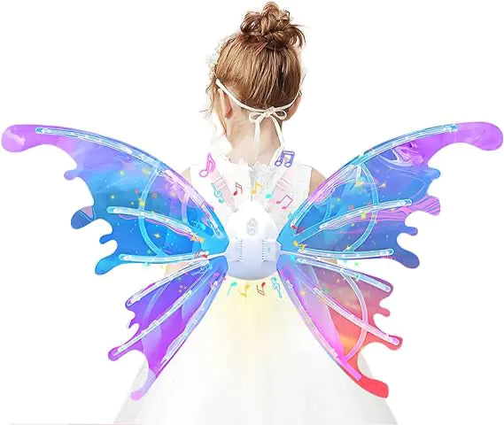 Electric Butterfly Wings-What About Noah