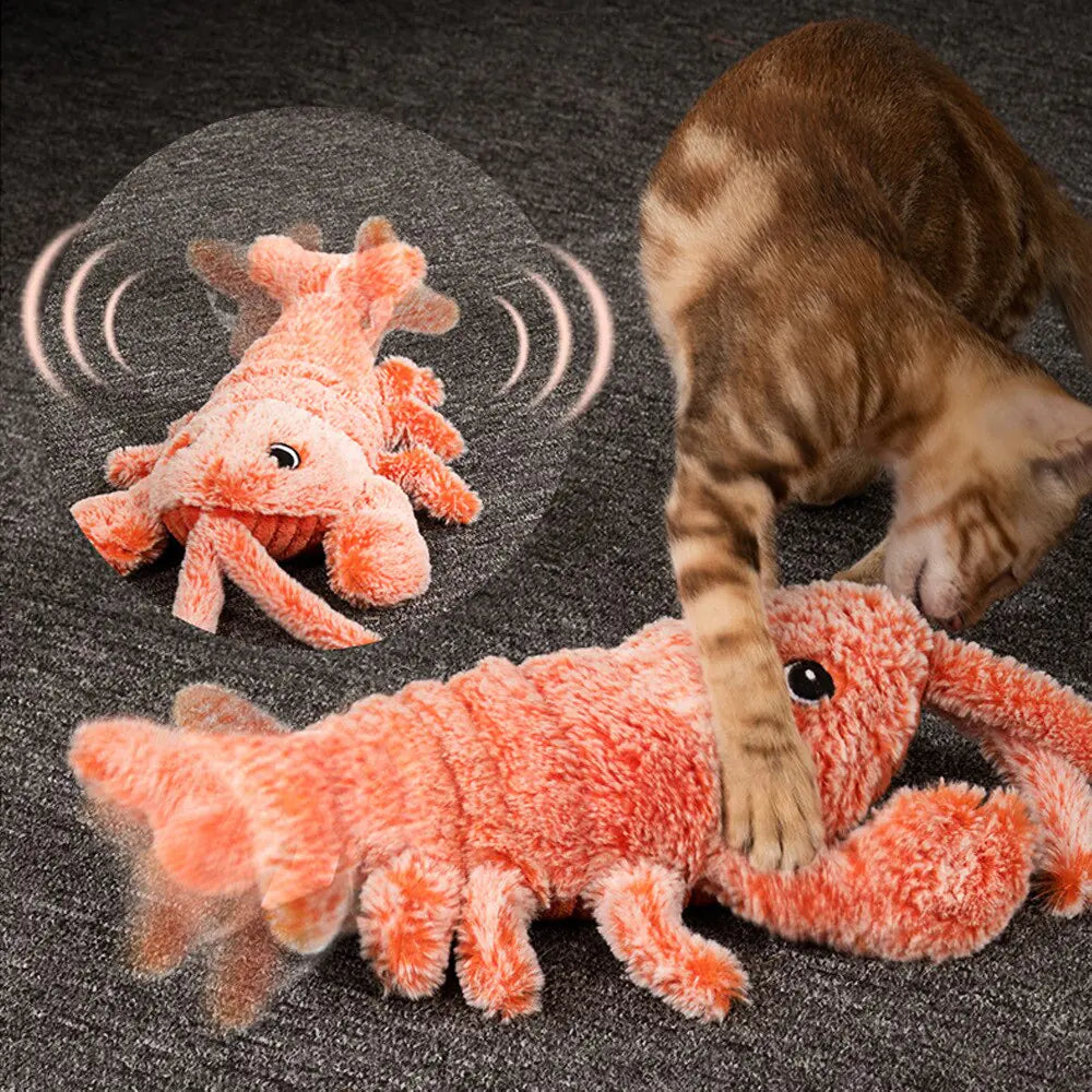 Electric Dancing Lobster Pet Toy-What About Noah