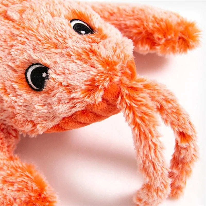 Electric Dancing Lobster Pet Toy-What About Noah