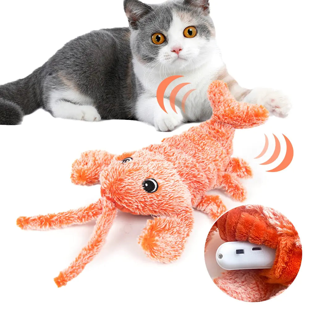 Electric Dancing Lobster Pet Toy-What About Noah