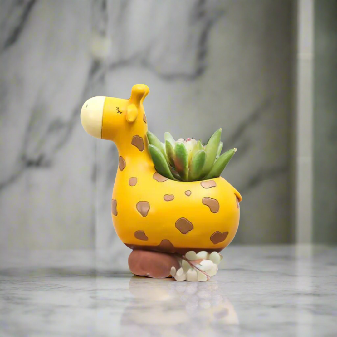 Giraffe Succulent Planter-What About Noah