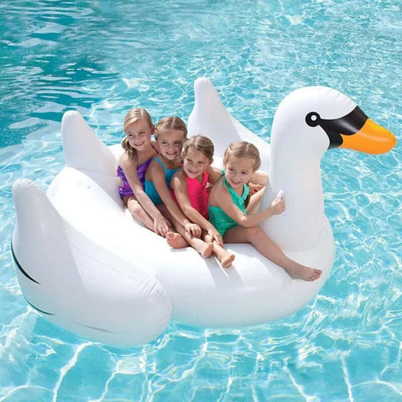 Inflatable Swan Swimming Pool Float-What About Noah