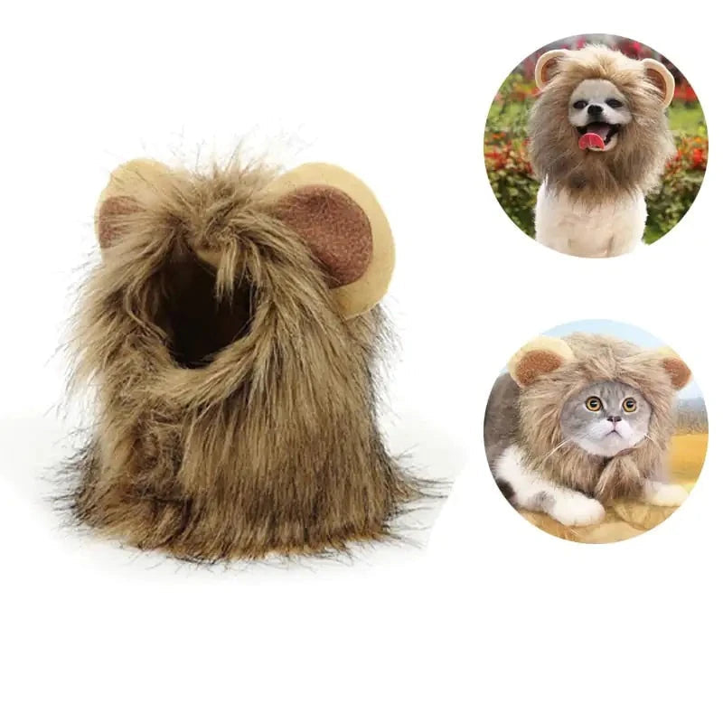 Lion Mane Cat Costume-What About Noah