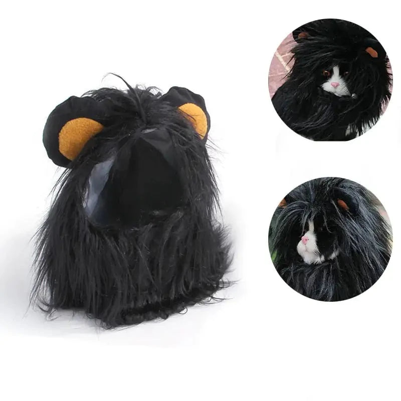 Lion Mane Cat Costume-What About Noah