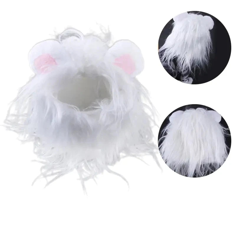 Lion Mane Cat Costume-What About Noah