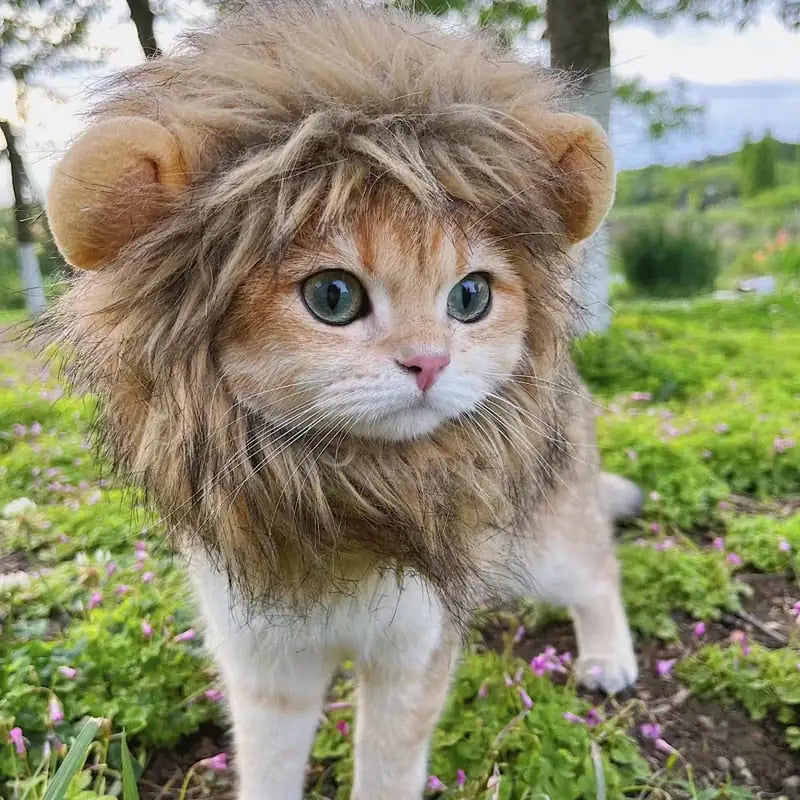 Lion Mane Cat Costume-What About Noah