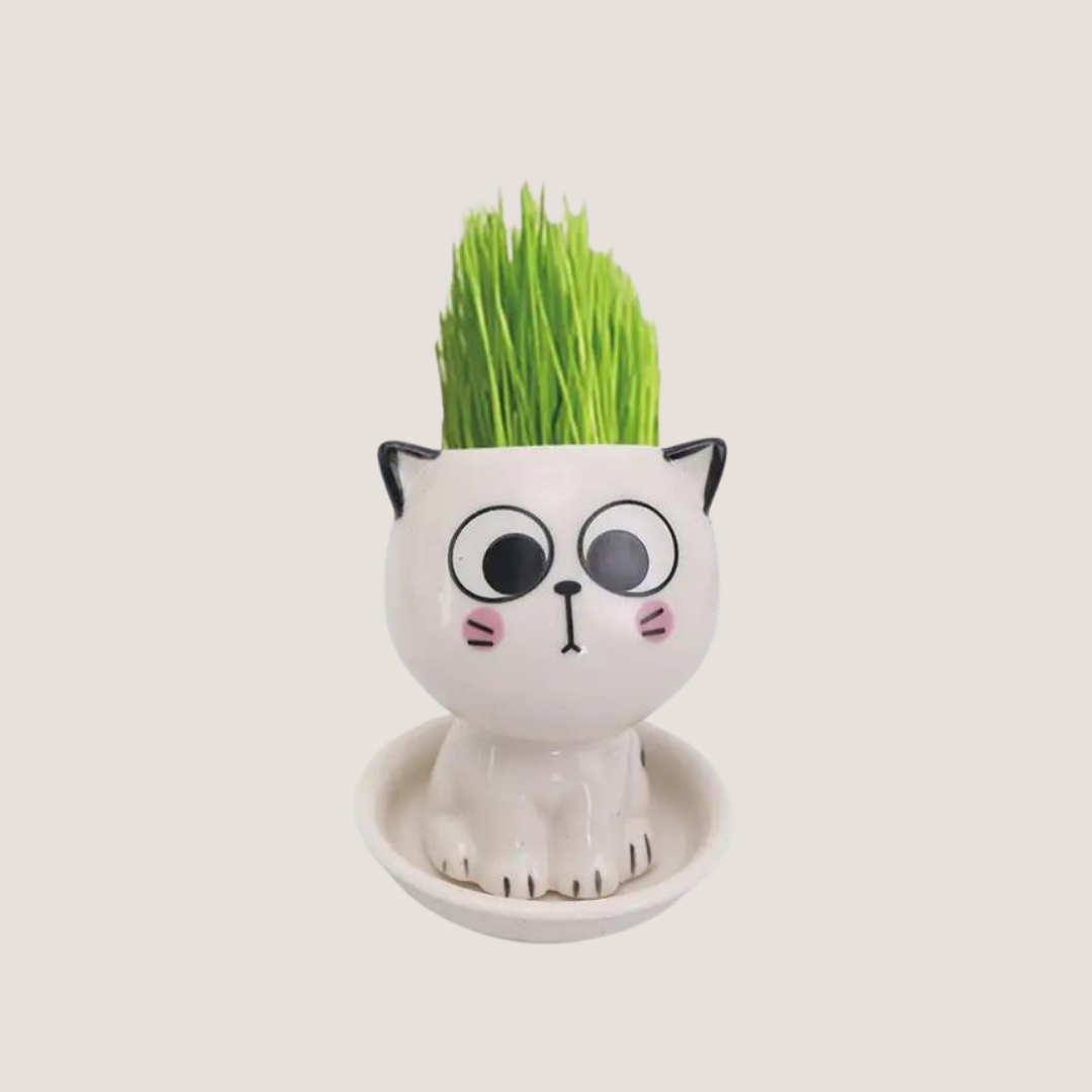 Mini Cat-Shaped Cartoon Ceramic Flower Pot-What About Noah