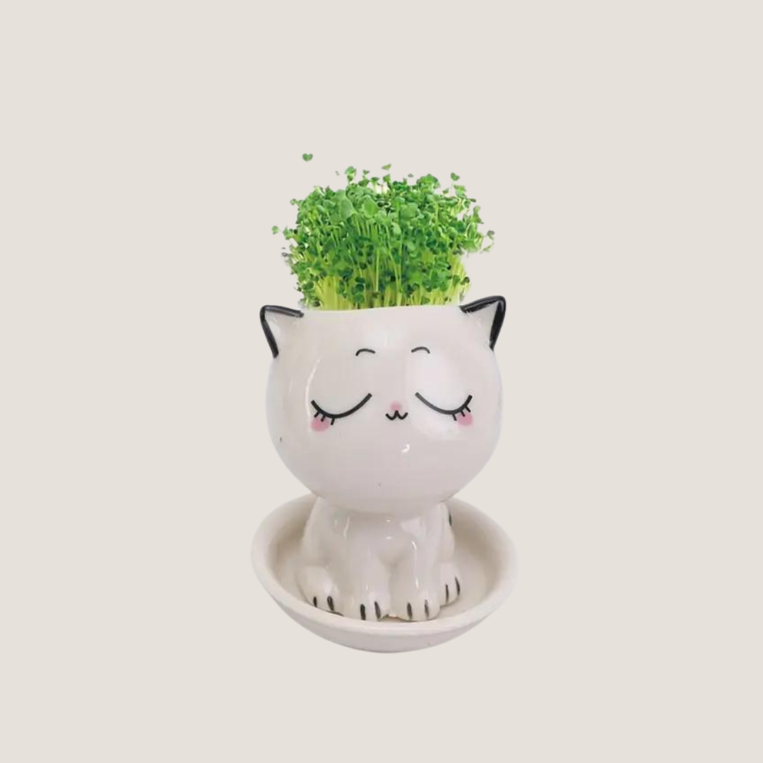 Mini Cat-Shaped Cartoon Ceramic Flower Pot-What About Noah