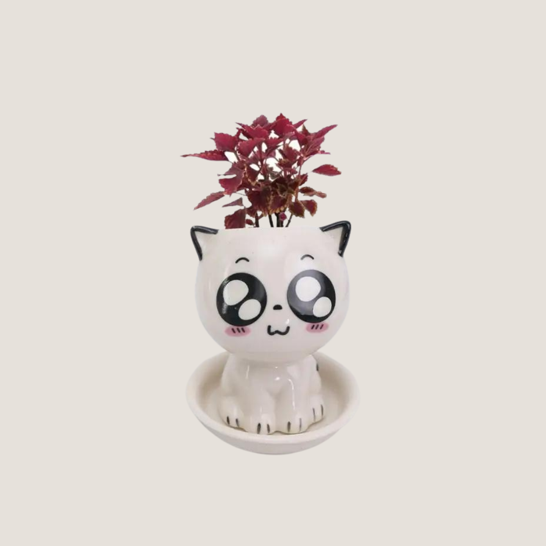 Mini Cat-Shaped Cartoon Ceramic Flower Pot-What About Noah