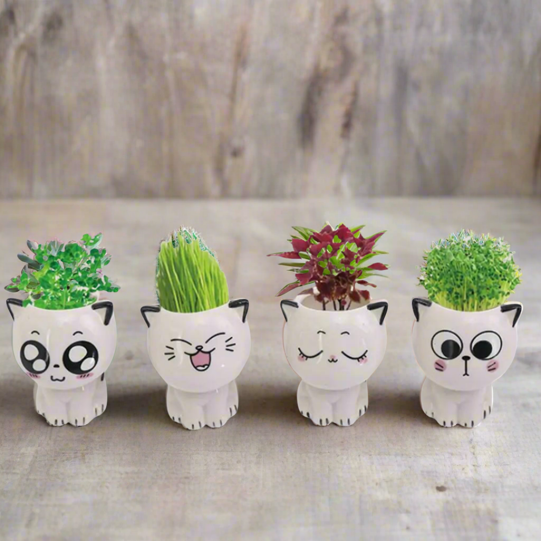 Mini Cat-Shaped Cartoon Ceramic Flower Pot-What About Noah