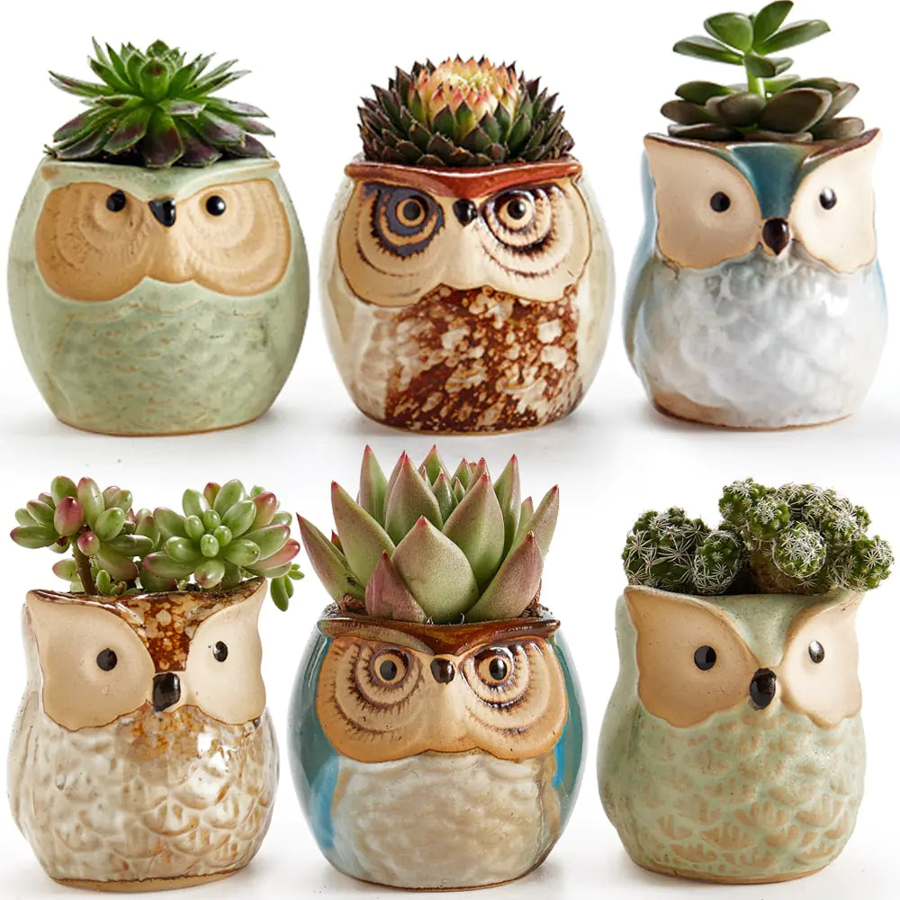 Miniature Ceramic Owl Pots-What About Noah