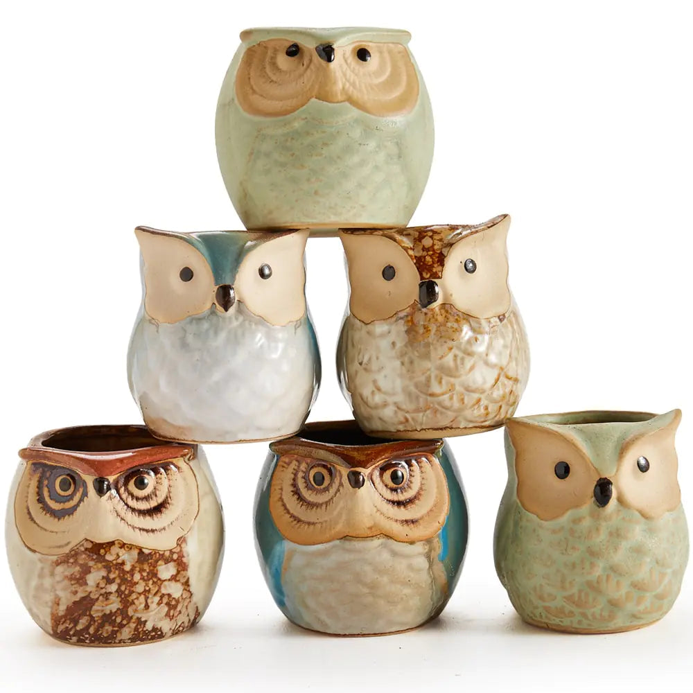 Miniature Ceramic Owl Pots-What About Noah