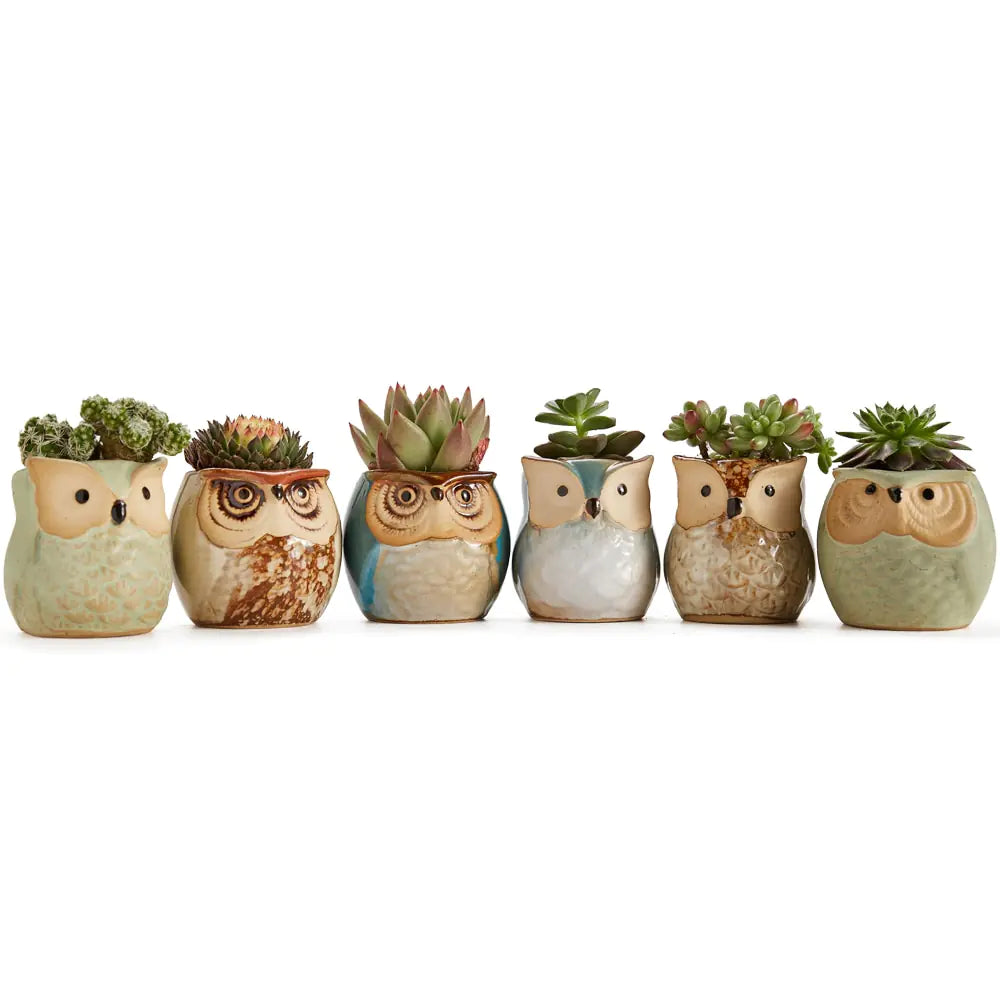 Miniature Ceramic Owl Pots-What About Noah