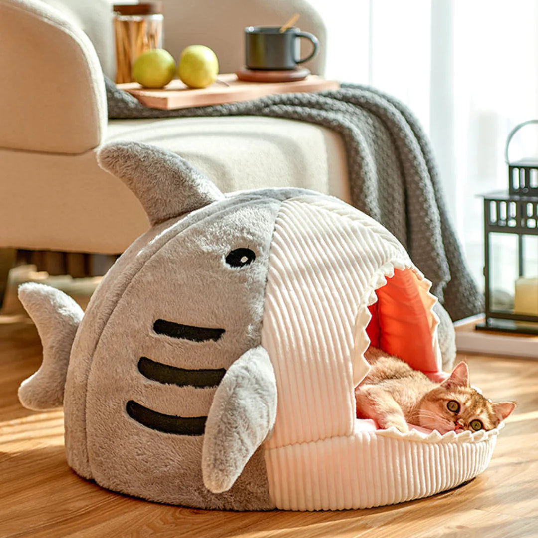 Shark Pet Bed-What About Noah