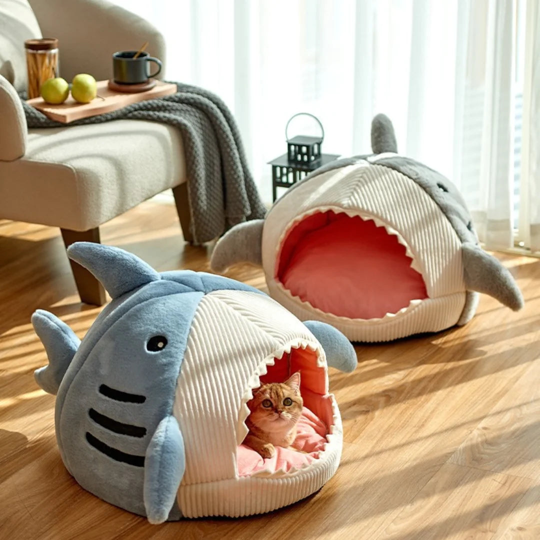 Shark Pet Bed-What About Noah