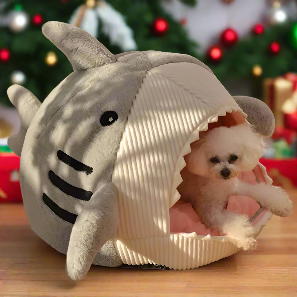 Shark Pet Bed-What About Noah