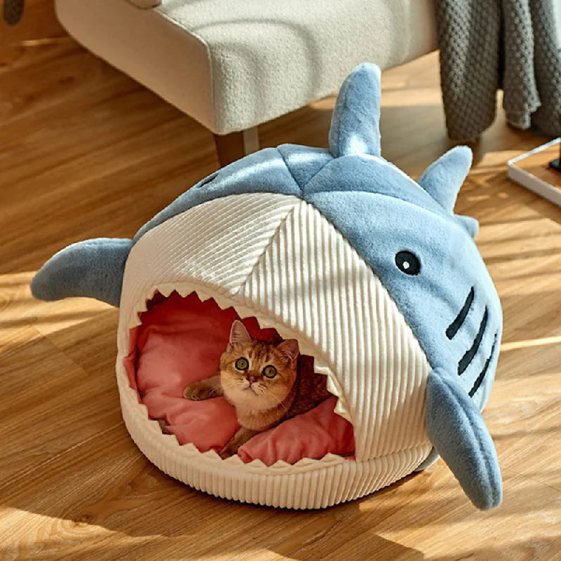 Shark Pet Bed-What About Noah