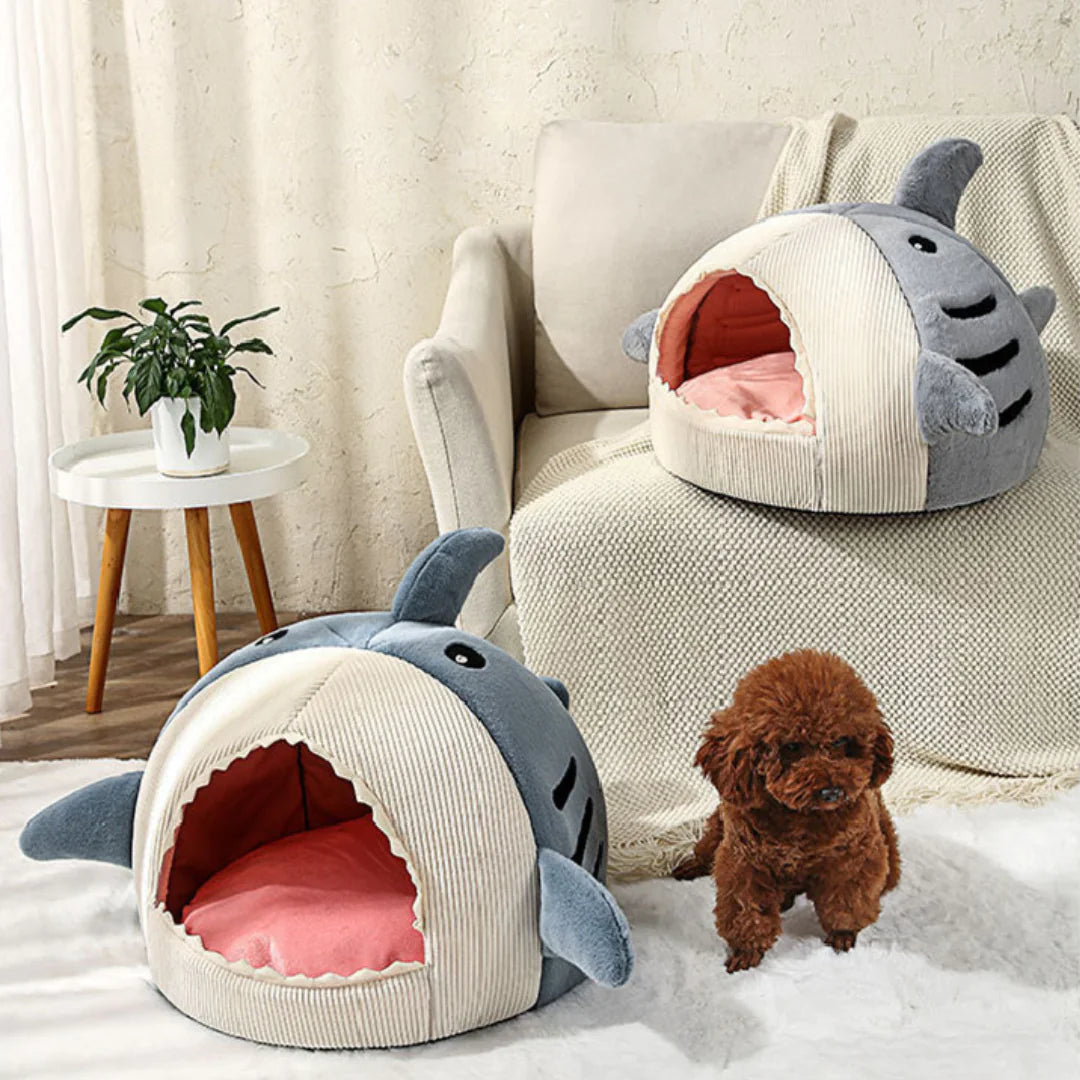 Shark Pet Bed-What About Noah