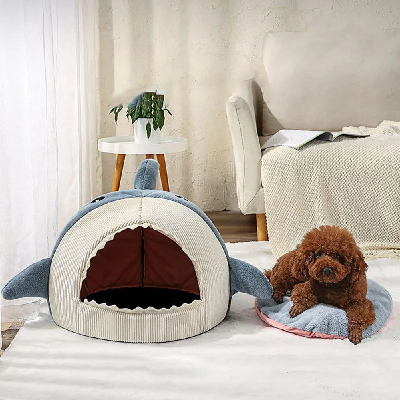 Shark Pet Bed-What About Noah