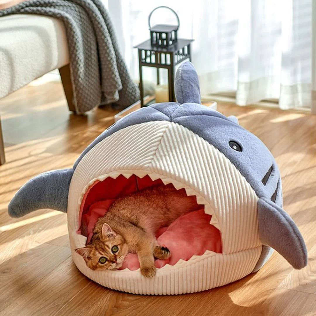 Shark Pet Bed-What About Noah