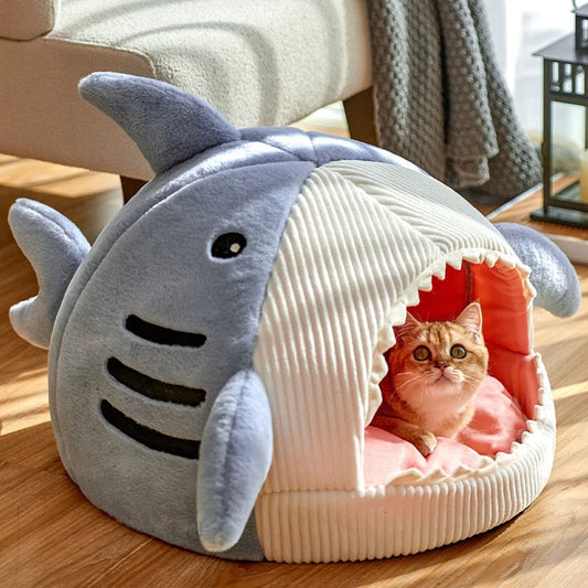 Shark Pet Bed-What About Noah