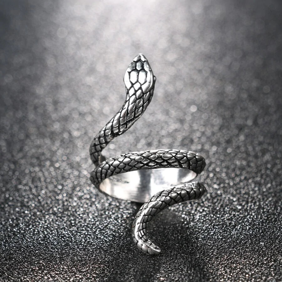 Silver-Plated Snake Ring-What About Noah