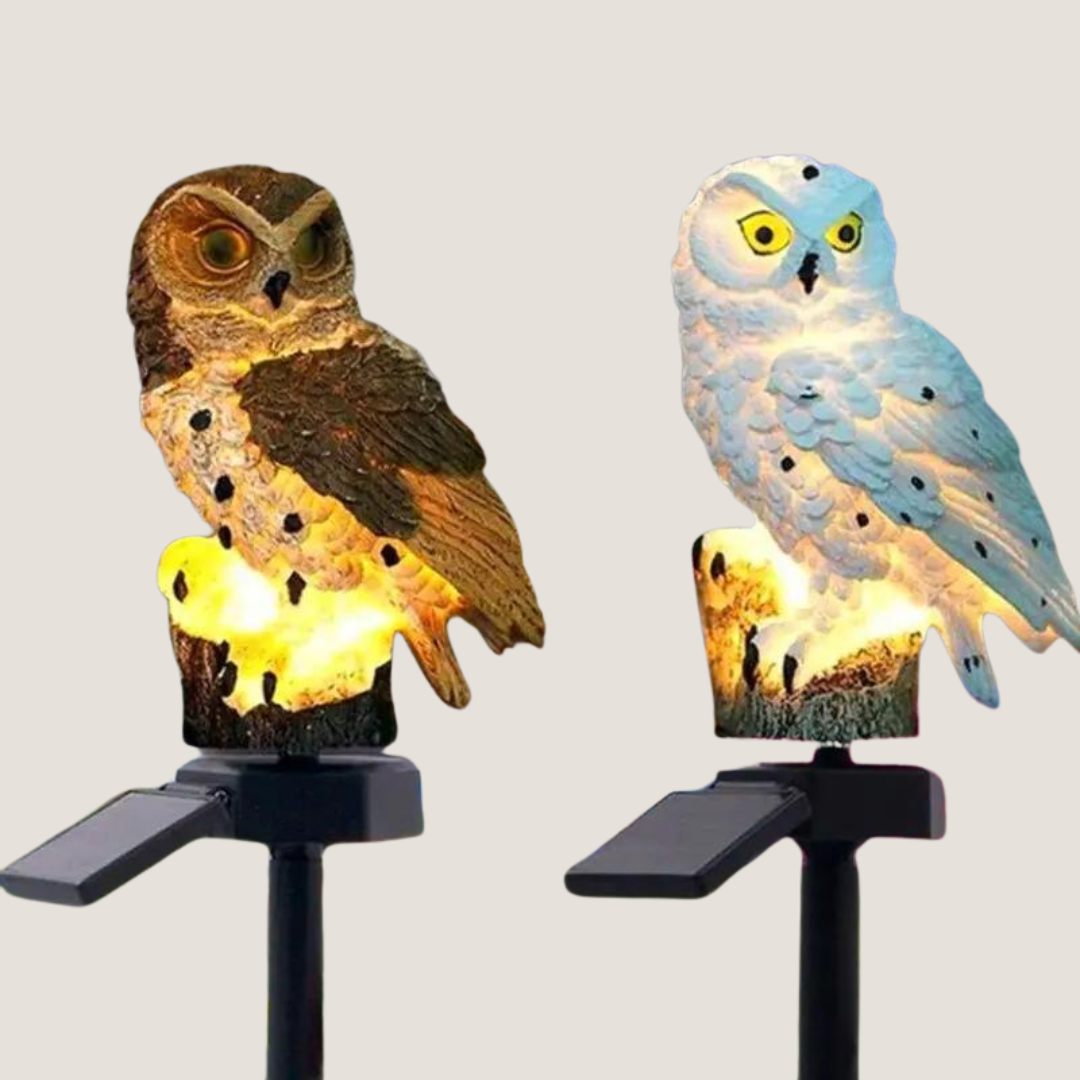 Solar Owl Shape Lawn Lamp-What About Noah