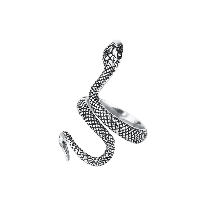 Sterling Silver Snake Design Ring-What About Noah