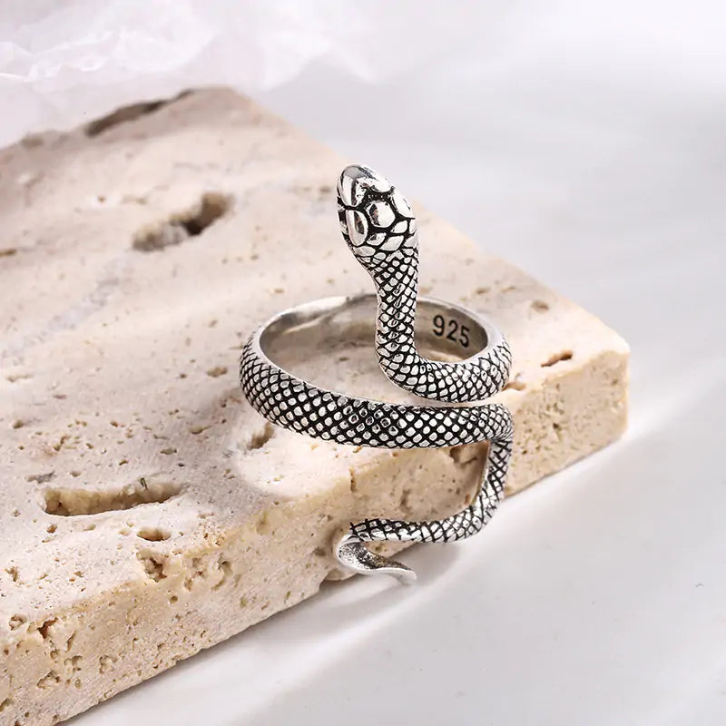 Sterling Silver Snake Design Ring-What About Noah