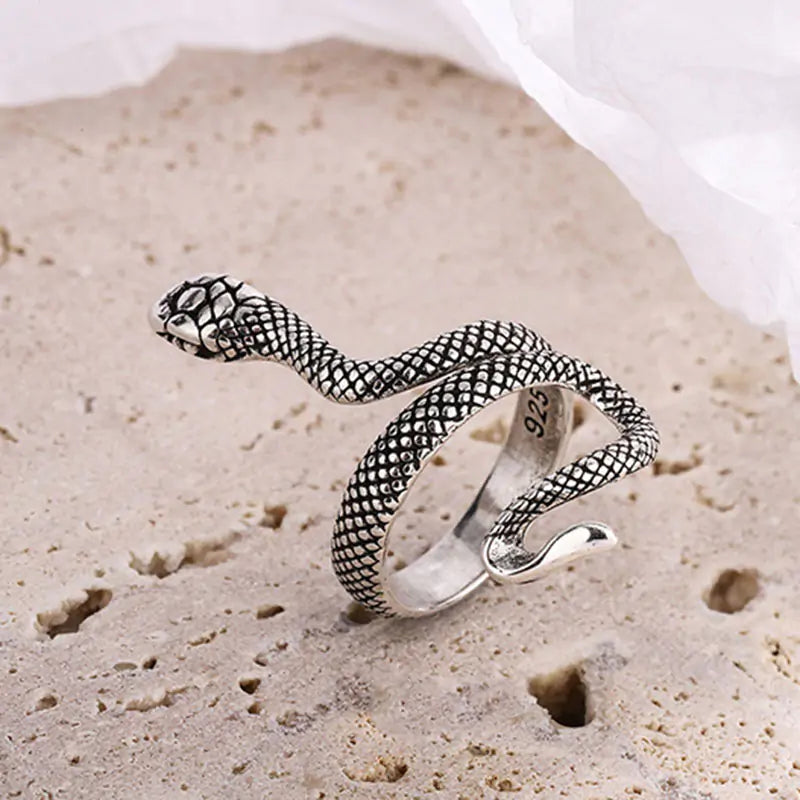 Sterling Silver Snake Design Ring-What About Noah